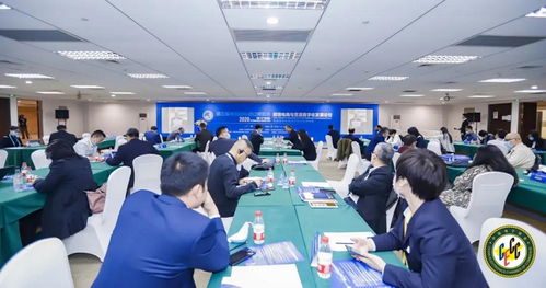 進博會觀察｜行云集團Billy受邀出席2020跨境電商與貿易數字化論壇，共探國際貿易新未來